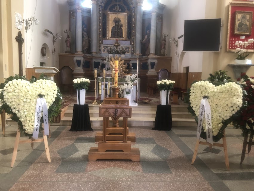 Azalia. Kwiaciarnia