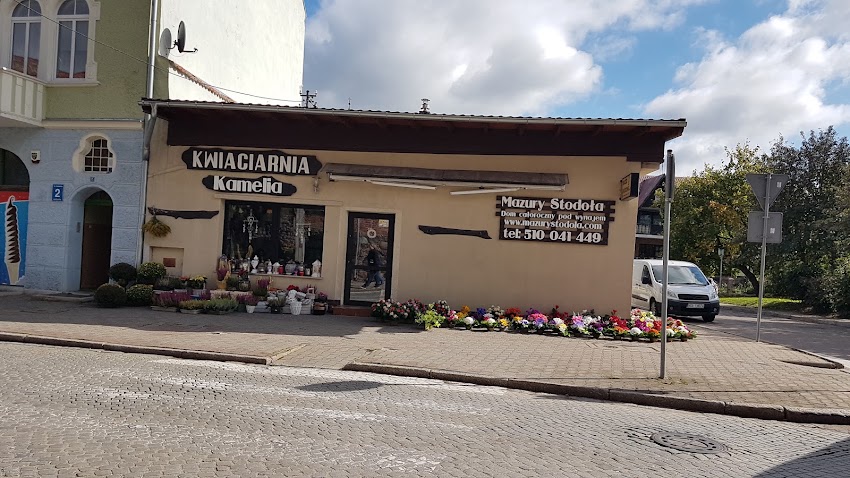 Kwiaciarnia Magnolia