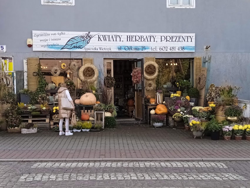 „Niby nic…” Agnieszka Wietrzyk