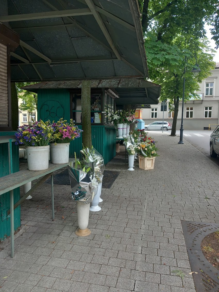 Budki z kwiatami. Kwiaciarnia