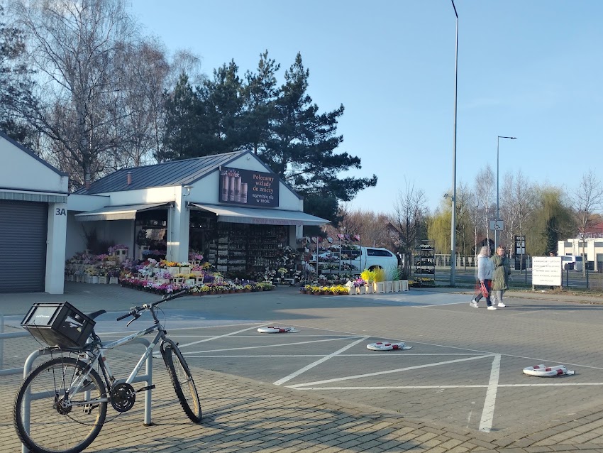 Kwiaciarnia Pod Aniołem