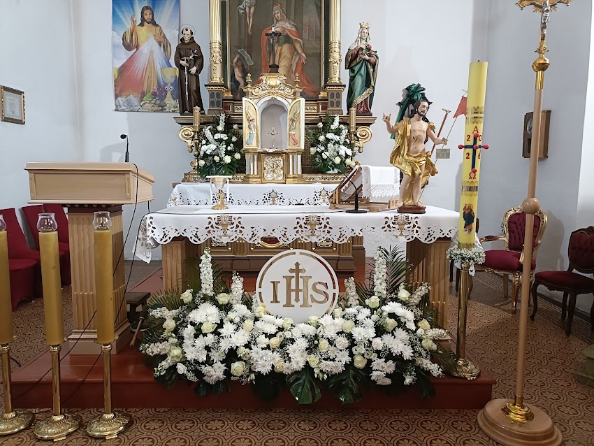 Kwiaciarnia Stokrotka Mariusz i Ewelina Kozak