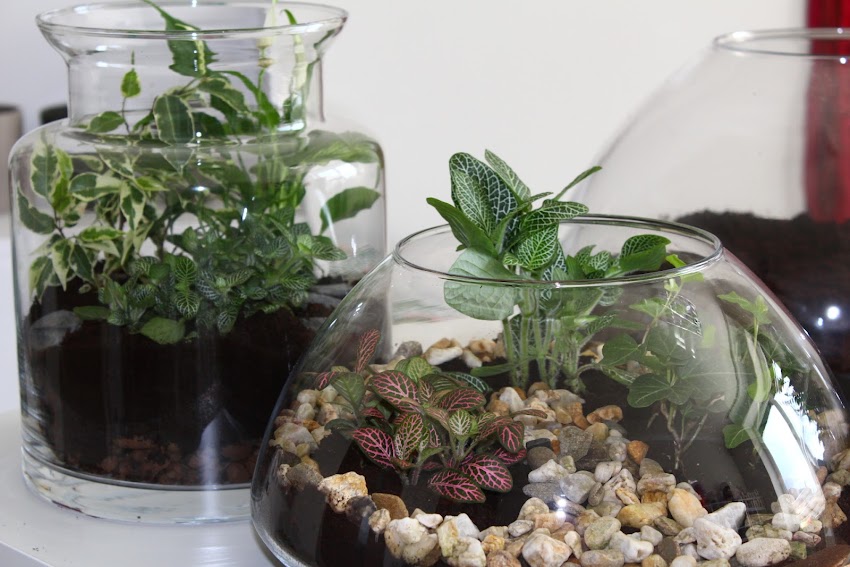Pracownia florystyczno – artystyczna FlowerDeco