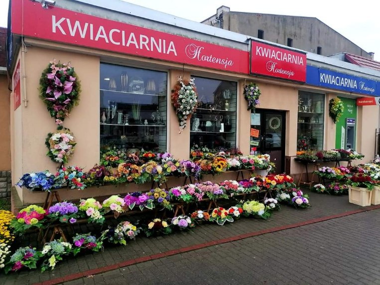 Kwiaciarnia Hortensja