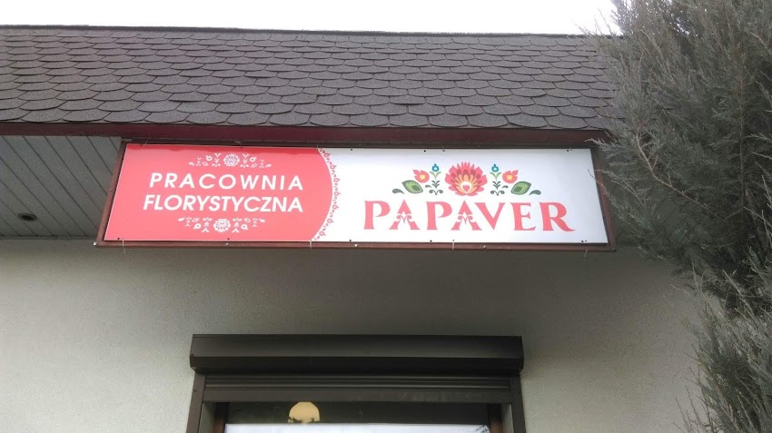 Papaver. Pracownia florystyczna