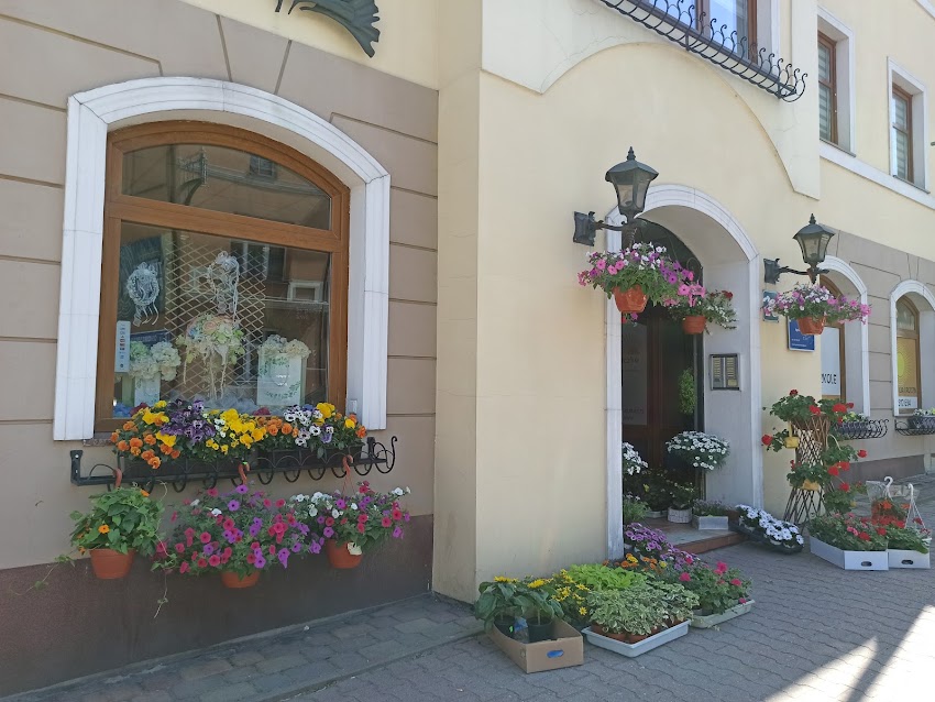 GALERIA KWIATÓW „𝑵𝑨𝑻𝑼𝑹𝑨”