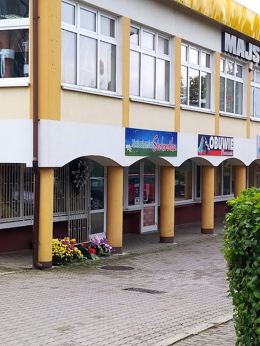 Stokrotka. Kwiaciarnia. Wądołowski A.
