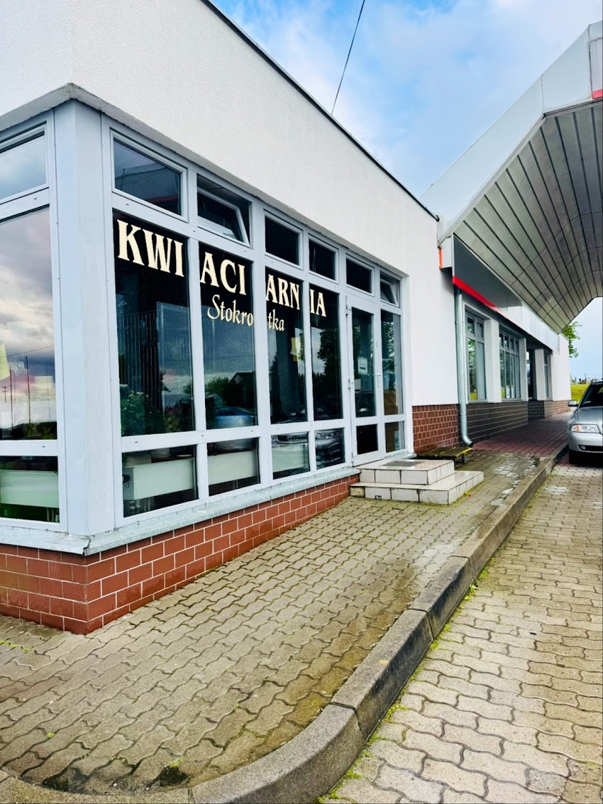 Kwiaciarnia Stokrotka