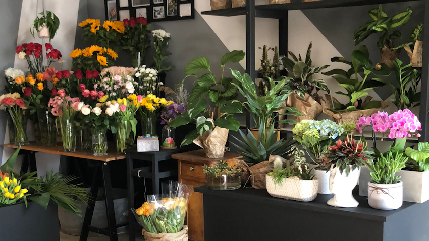 💐Kwiaciarnia | LAFLOR kwiaty i rośliny