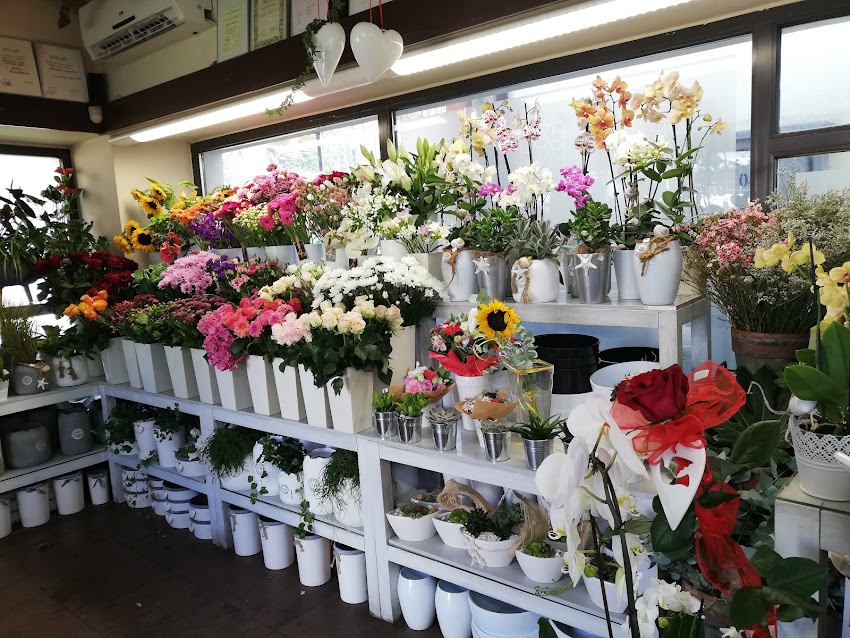 Kwiaciarnia Blumen 2000