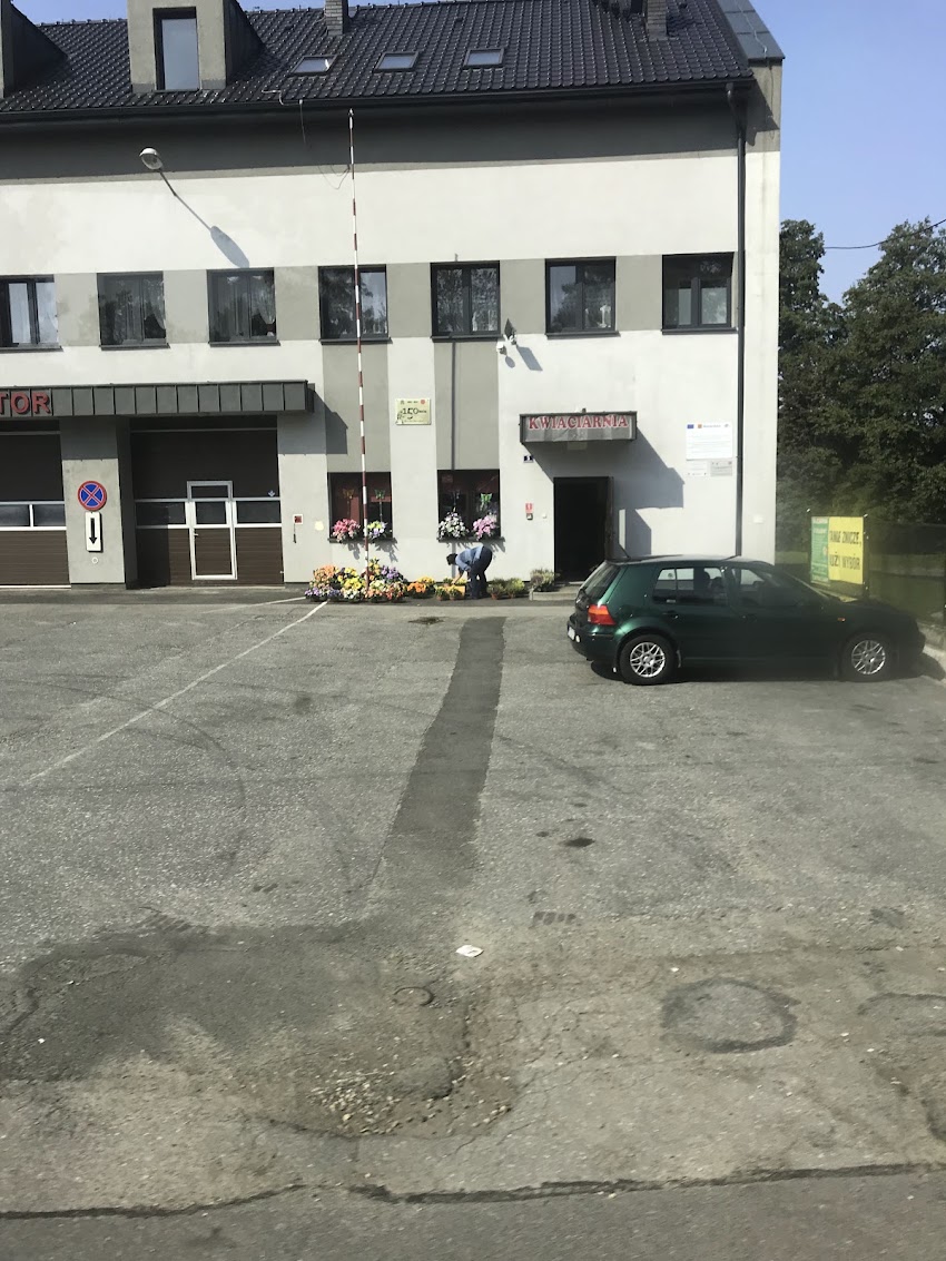 4 Pory Roku. Kwiaciarnia. Szydłowska K.