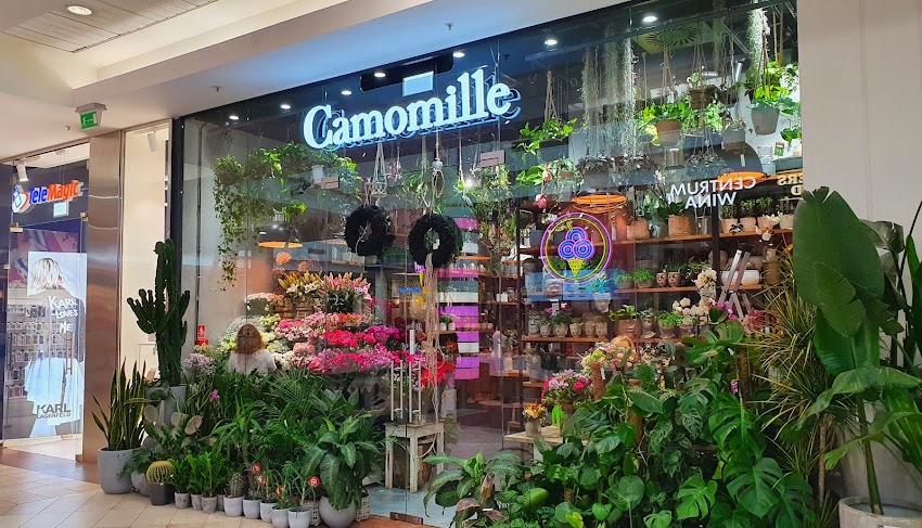 Kwiaciarnia Camomille