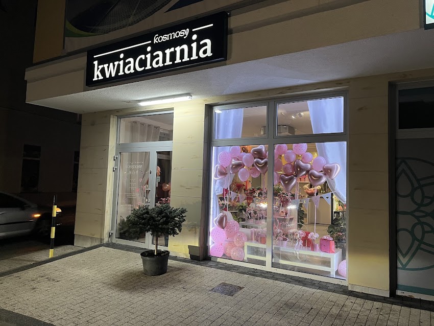 Kosmosy kwiaciarnia Elbląg