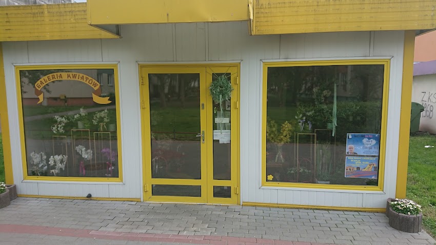 Kwiatkowska Bogumiła. Galeria Kwiatów