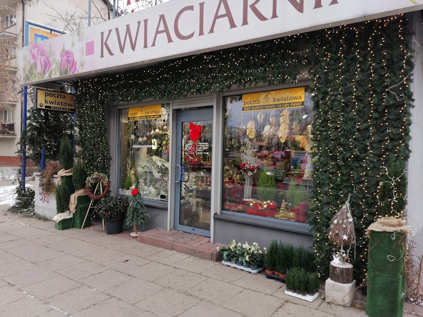 Kwiaciarnia Róża Violetta Kluczek