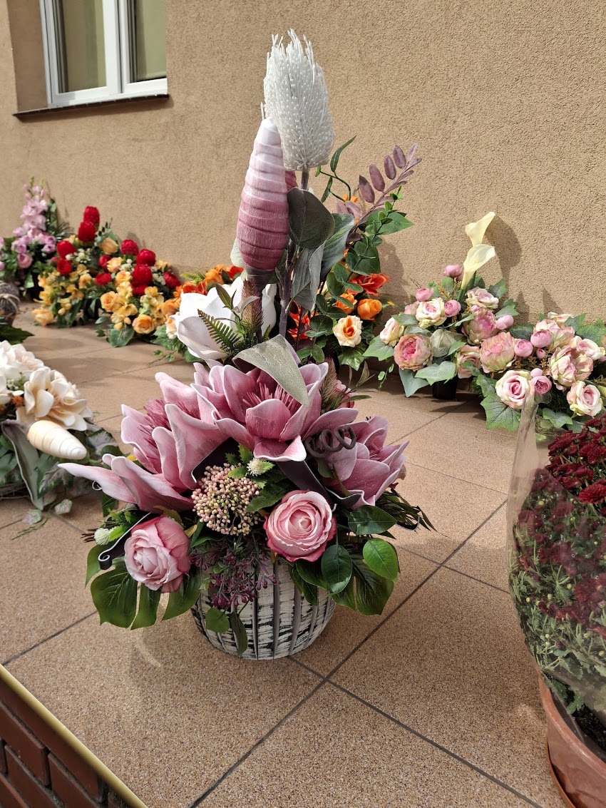 Protea. Kwiaciarnia