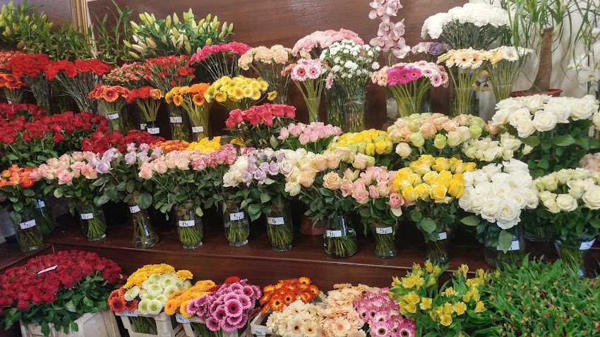 Kwiaciarnia Family Flowers – Narcyzowa 1