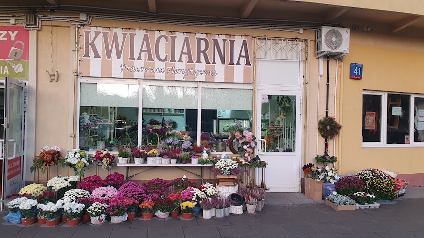KWIACIARNIA EUSTAGA- Pracownia Florystyczna Eustaga