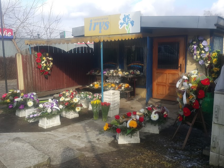 Irys. Kwiaciarnia. Czart I.