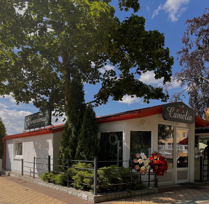Studio Art-Flowers Camelia Kwiaciarnia. Wołyniec