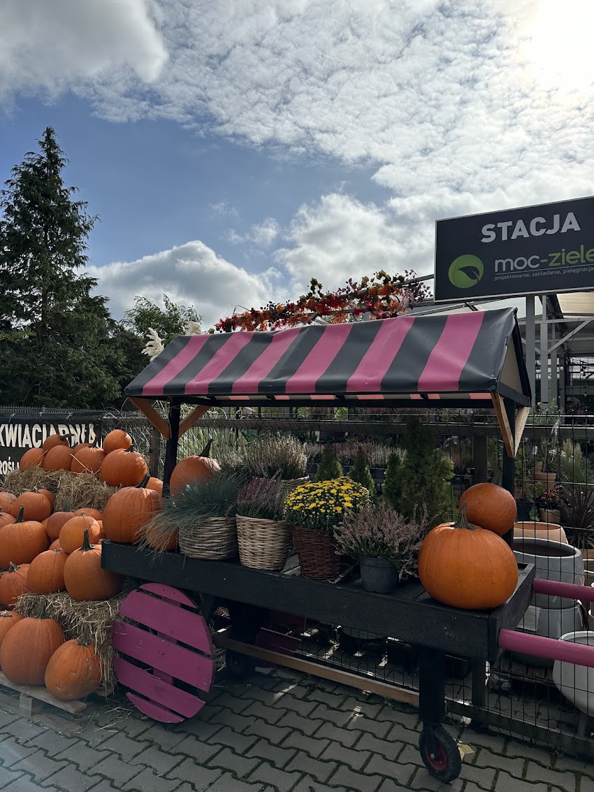 Kwiaciarnia Stacja Moc-zieleni