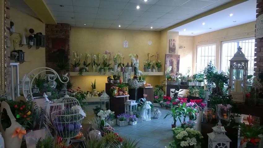 Kwiaciarnia KASIA