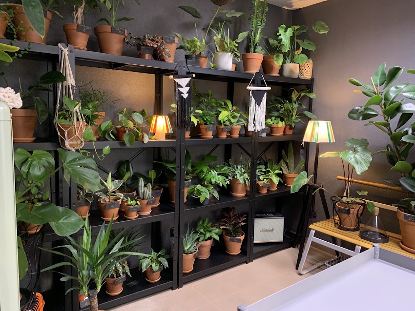 Urban Jungle