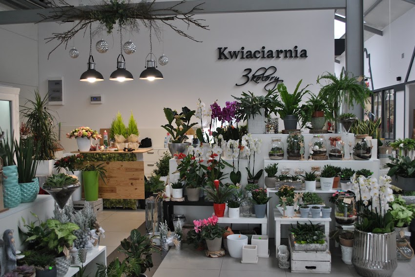 Kwiaciarnia 3 Kolory