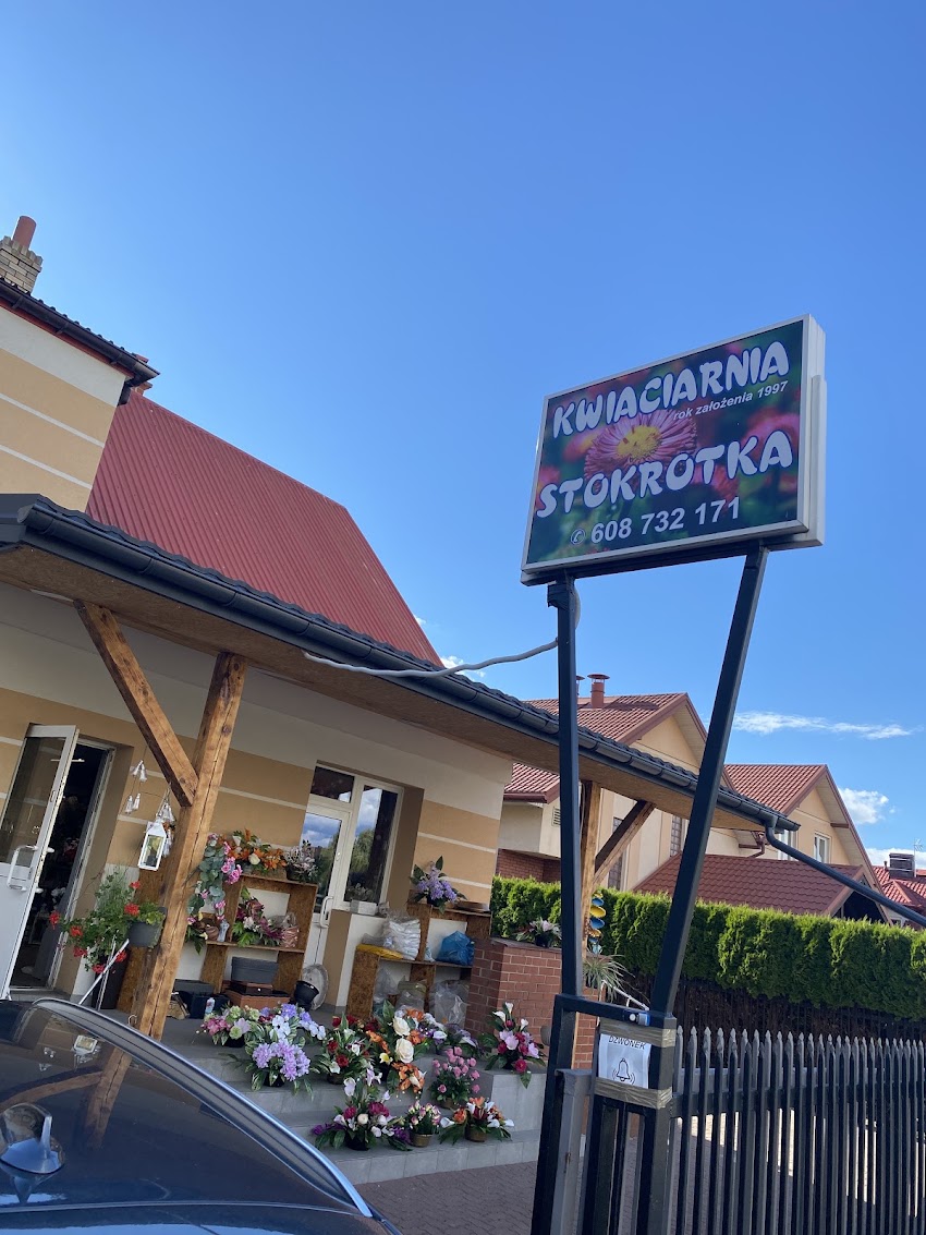 Kwiaciarnia Stokrotka