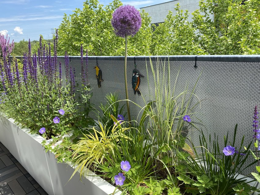 Projekt ogrodu z Garden Box – ponad 5000 zadowolonych klientów.