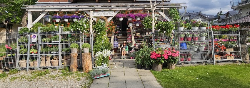Zielony dom i ogród kwiaciarnia zakopane