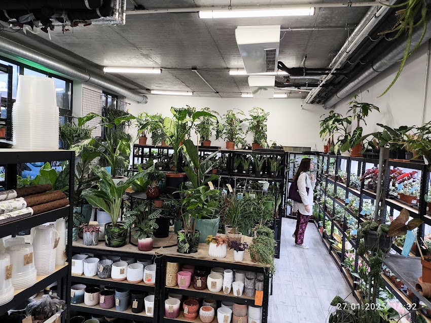 LOVEPLANTS