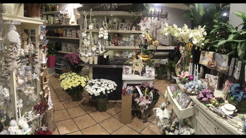 Kwiaciarnia Ikebana S.C. Ewa i Artur Gleń