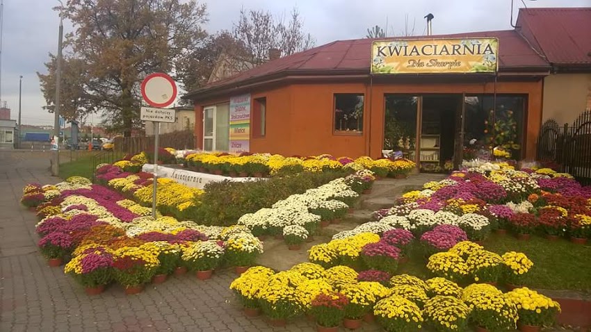 Kwiaciarnia Na Skarpie