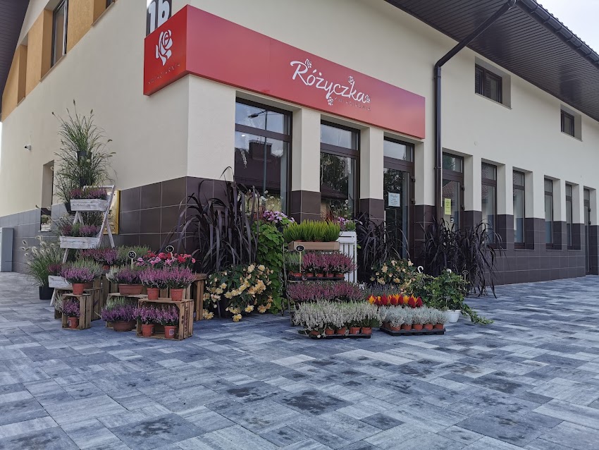 Kwiaciarnia „Różyczka” Sabina Kapera