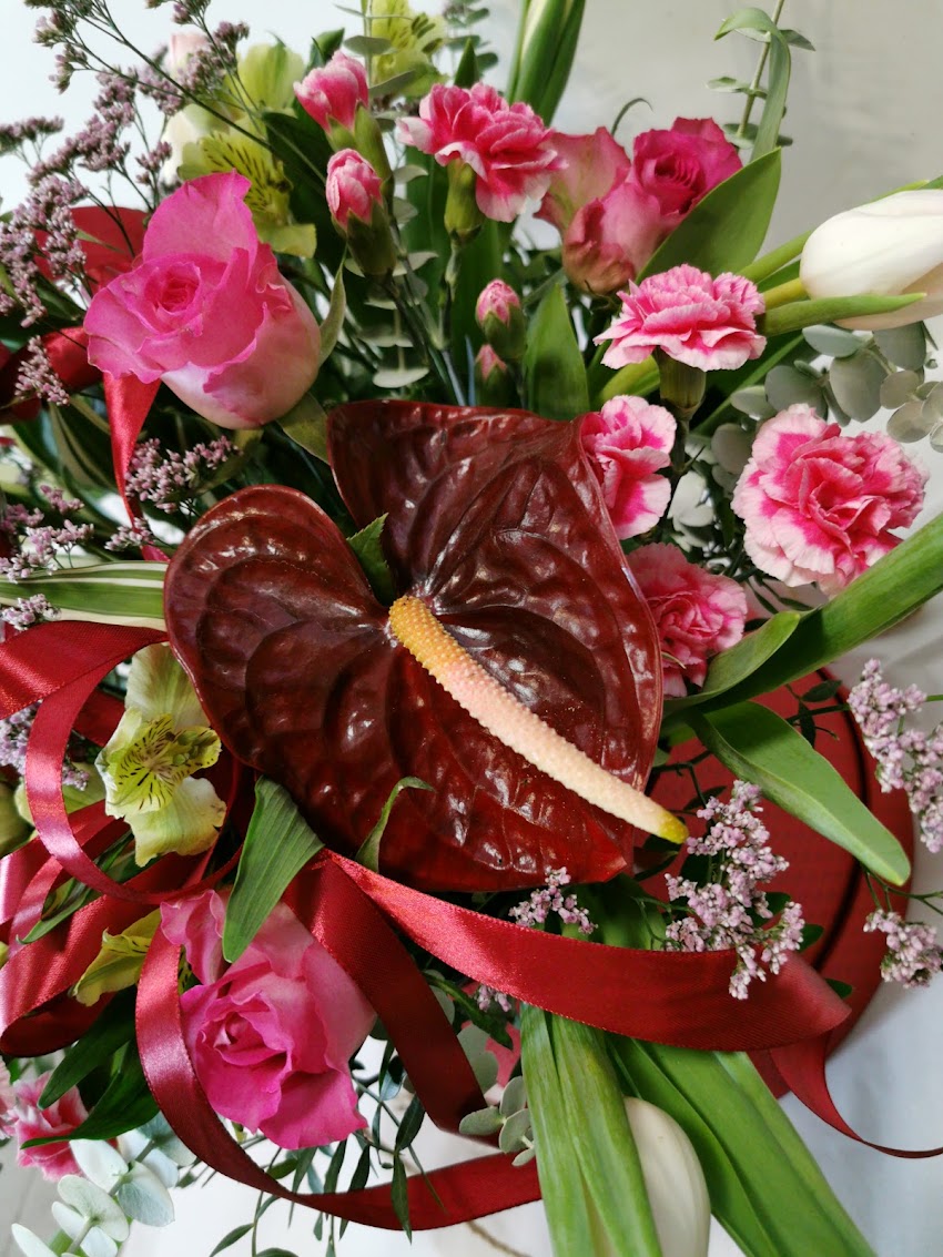 Joko Flora Kalina Odrobna