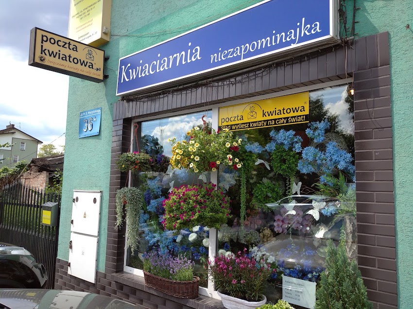 Niezapominajka. Kwiaciarnia