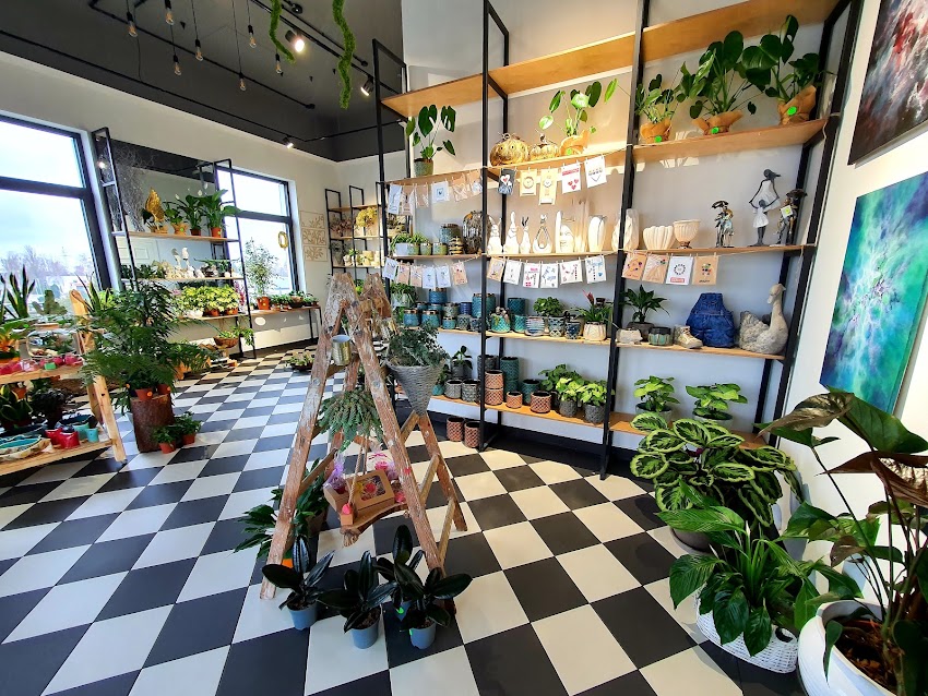 Kwiaciarnia FloraDeco, Strzeszyn