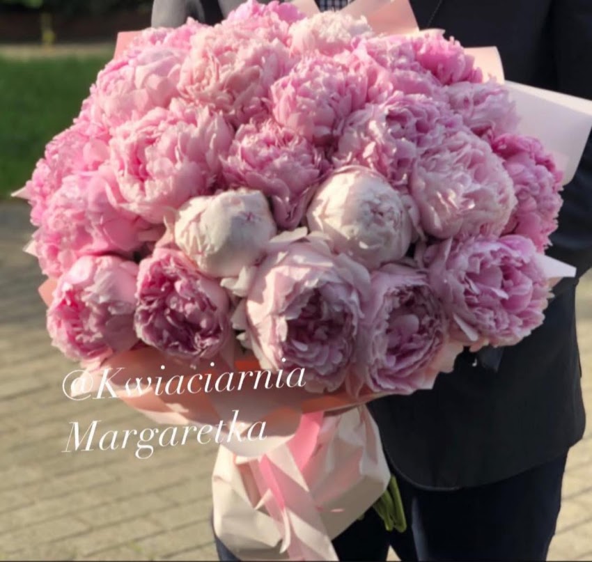Margaretka. Kwiaciarnia. Jaworska C.