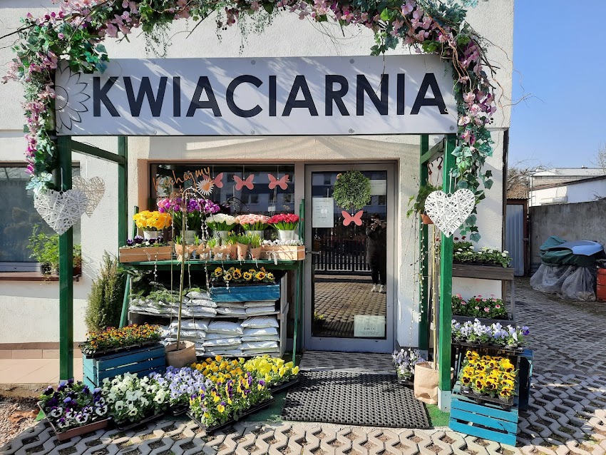KWIACIARNIA Kwiaty u M.