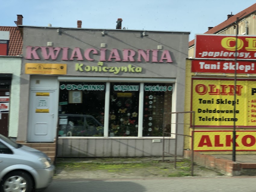 Kwiaciarnia Koniczynka, Tatiana Henkel