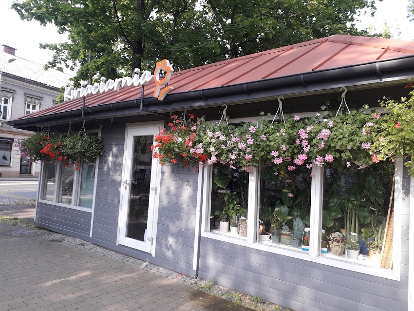 Kwiaciarnia Chico Azteca Andrychów