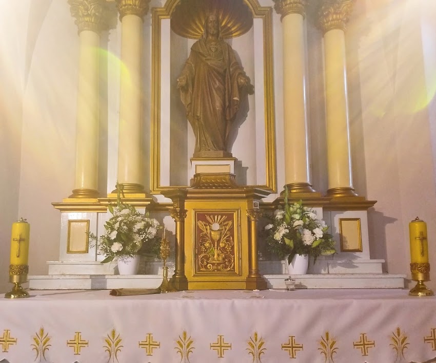 Kwiaciarnia Mimoza