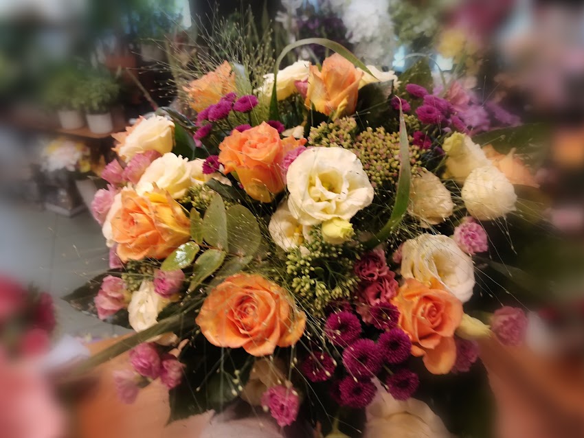 Family Flowers Plewiska