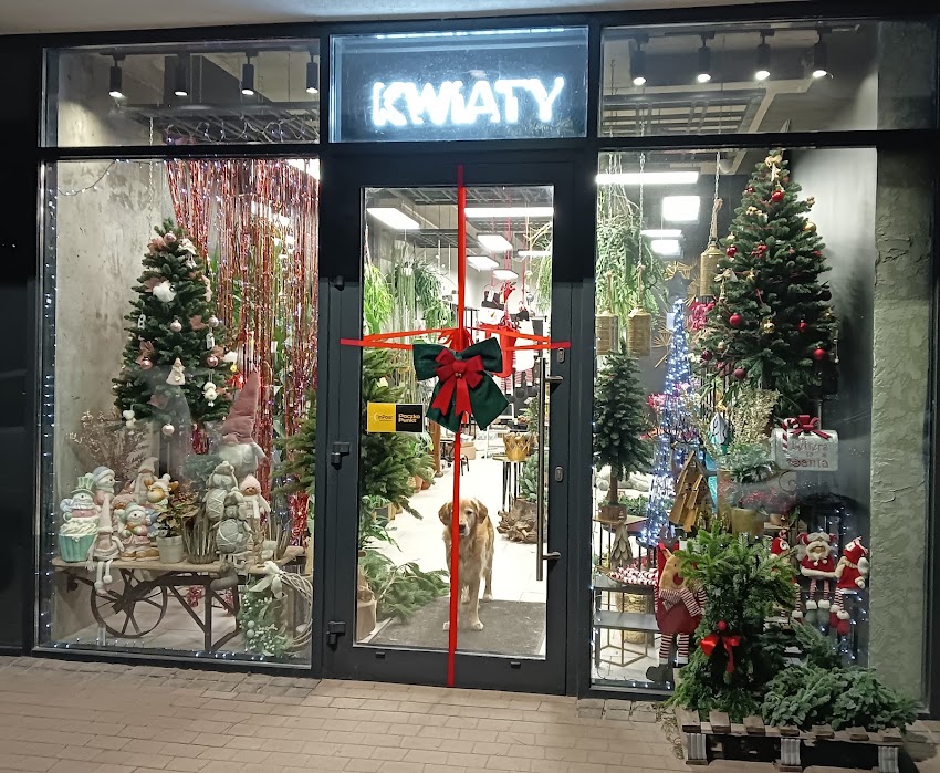 Kwiaciarnia Golden Flowers