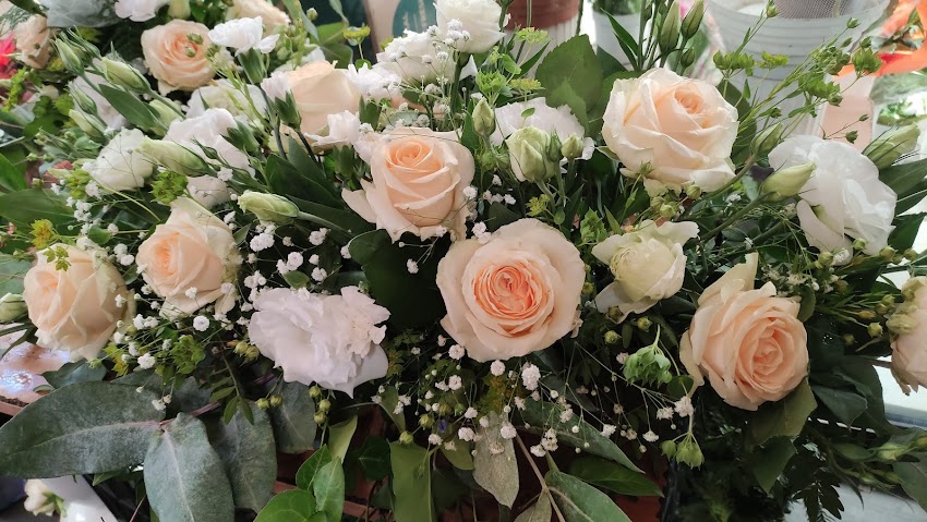 Bella Rosa Iwona Sudoł