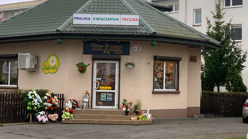 Kwiaciarnia Stokrotka Poczta Kwiatowa Mońki & Pralnia