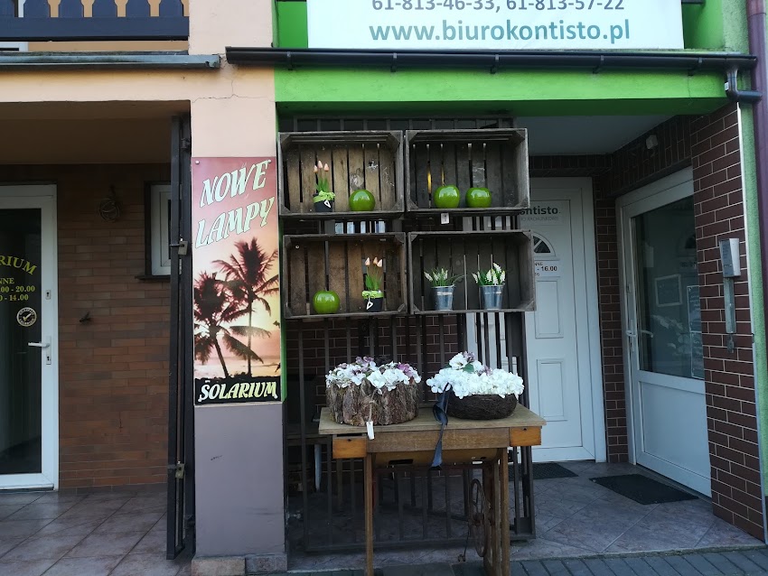 Galeria florystyczna Monika Malicka