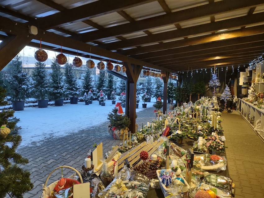 Kulka Centrum Ogrodnicze