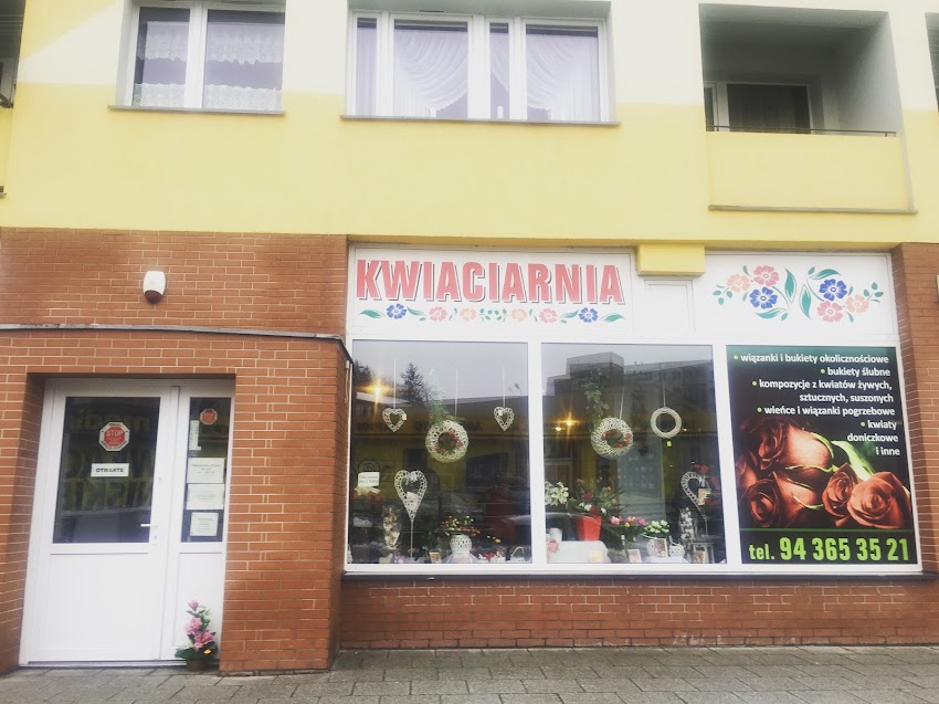 KWIACIARNIA W AKWARIUM Grzegorz Borkowski